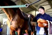 How To Horses: Tack Up - Saddle A Horse