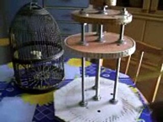 Molde para jaula de perdíz