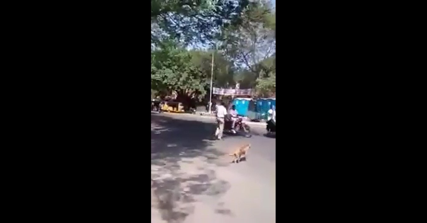 A policeman passed through a dog