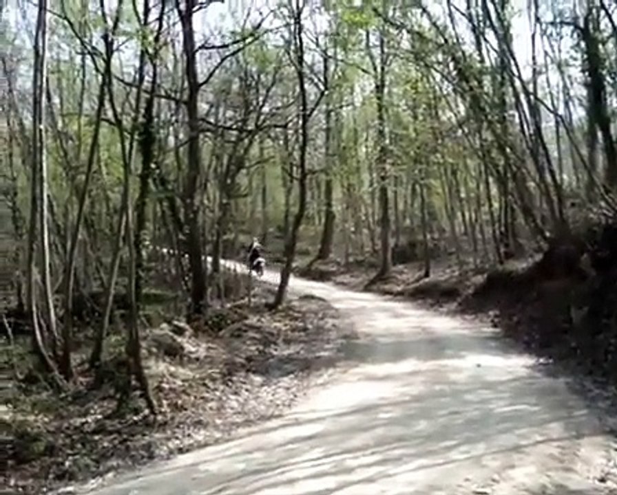 Yamaha TT 600 e excursion