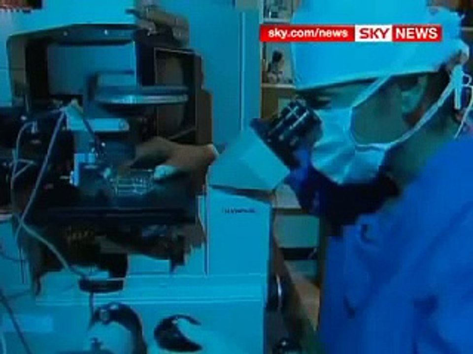 Cloned Human Embryos As Well As Animal Human Hybrids?