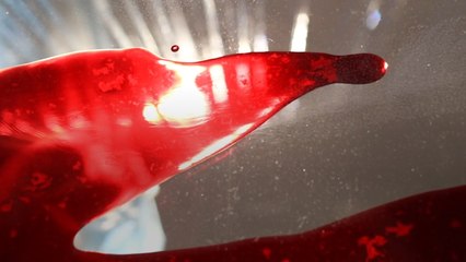 This Giant Box Of Blood Is Fighting For Gay Rights