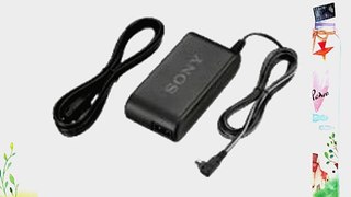Sony ACPW10AM AC Adapter for Sony Alpha Digital SLR Cameras (Black)