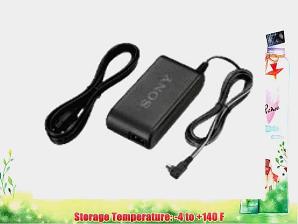 Sony ACPW10AM AC Adapter for Sony Alpha Digital SLR Cameras (Black)