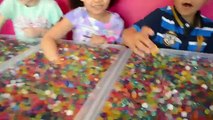 ORBEEZ Challenge - Shopkins - LEGO Minifigures  -  MLP Prizes