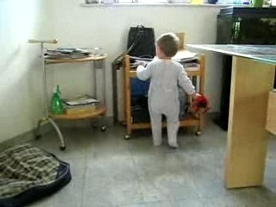 Loris s'amuse