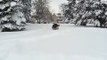 Dog bounding through the snow