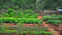 Voices of a Thousand Gardens in Africa