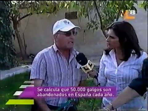 Amigos de los Galgos, galgos adoptados