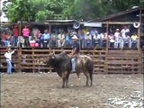 TOROS DE MATIGUAS, (Fiestas Patronales Villa El Carmen 2010)