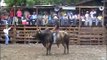 TOROS DE MATIGUAS, (Fiestas Patronales Villa El Carmen 2010)