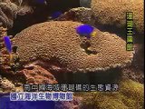 台灣宏觀電視TMACTV--國立海洋生物博物館