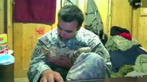 Soldier goes to great lengths to bring home cat