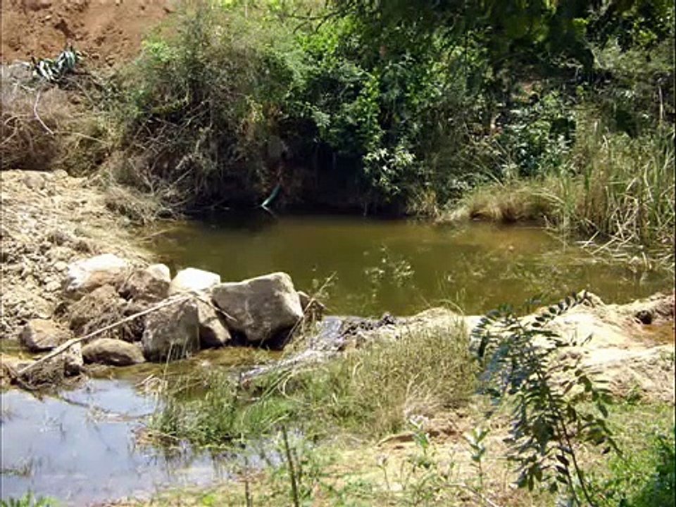 Coimbatore Water Diviner, Water Divining, Water Dowsing, Dowsing Method