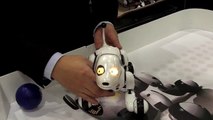 Zoomer, The Perfect Interactive Family Pet From Spin Master.  First Look From Toy Fair 2013
