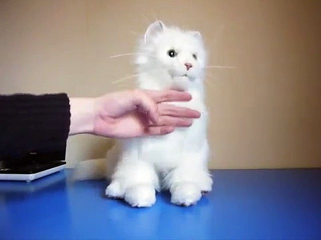 furreal katze bootsie