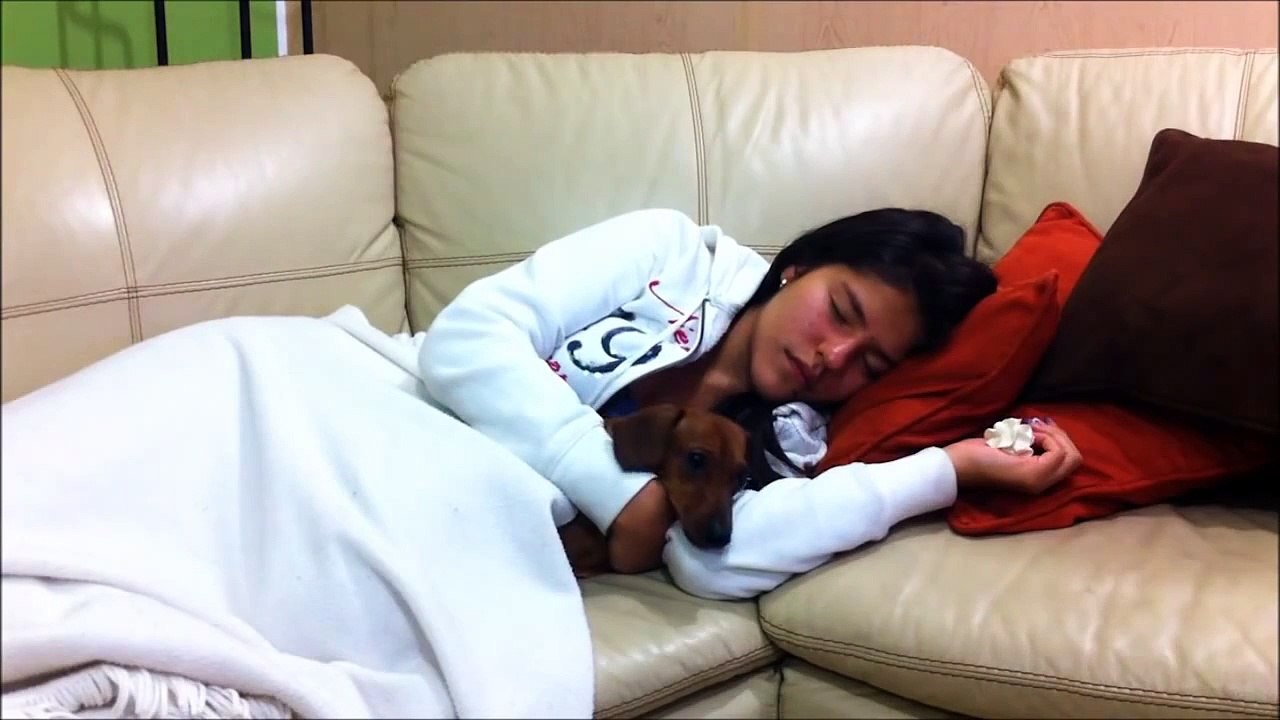 Shaving Cream Prank Sleeping Prank Funny Jokes Prank To Asleep Scare Sleeping Girl Video Dailymotion