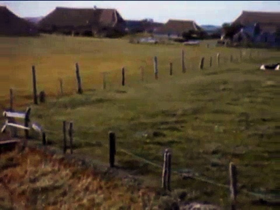 Vakantie op Terschelling in de jaren '50