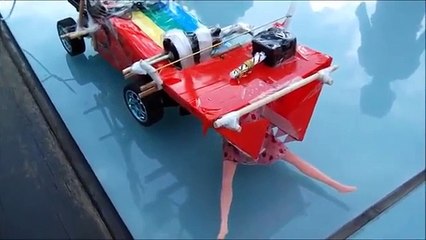 RC CAR PICK UP BARBIE AAAA BBBB CCCC DDDD EEEE FFFF GGGG HHHH IIII JJJJ KKKK LLLL MMMM NNNN OOOO