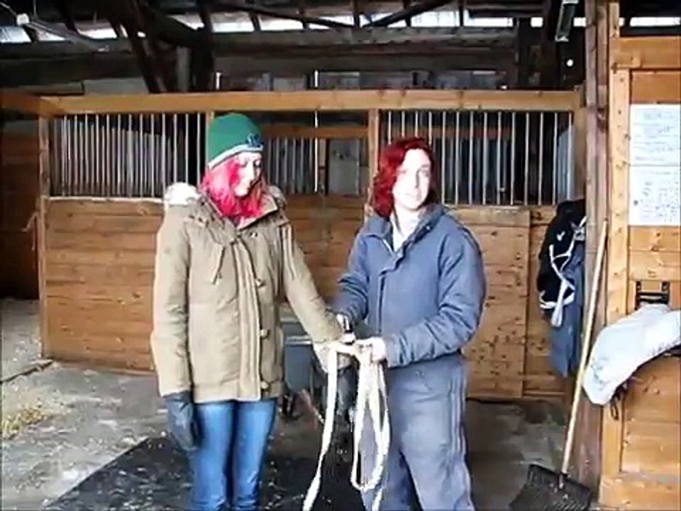 Taining Your Working Student
