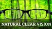 Eye Care-Natural Clear Vision [Natural Clear Vision - Natural Clear Vision Review