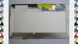 HP 496770-001 15.6-inch WXGA BrightView display panel ONLY!