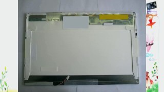 AU OPTRONICS B154EW04 V.2 LAPTOP LCD SCREEN 15.4 WXGA CCFL SINGLE (SUBSTITUTE REPLACEMENT LCD