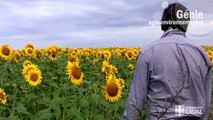 Le programme de génie agroenvironnemental de l'Université Laval