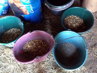 Une journée dans ma peau équitation