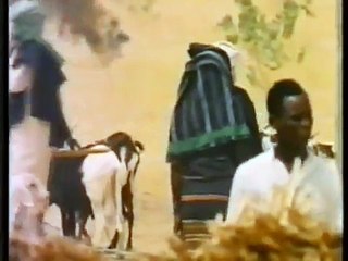 Das Tier Mensch - Eps.4 - Teil 4/4 - Die Biologie der Liebe