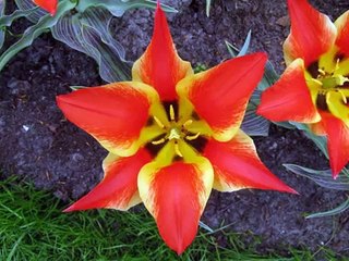 Sorry - Aiza Seguerra (with Lyrics)