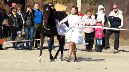 29 09 2013 Работа с лошадью на кордео - Юбилей Аллюра (Благовещенск)