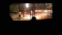 Tigre Mata a su domador en el circo en mexico imagenes impactantes