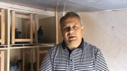 Interviu-dl-Petrica-Cocos-Gyosport-Bucuresti-26-mai-2012.MPG