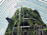Cloud Forest @ Gardens by the Bay, Singapore
