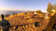 Cowley Beach Mandubarra Aboriginal Turtle Monitors Guard Hatching Green Sea Turtles 22 April 2012