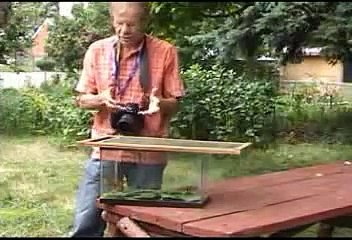 Monarch Butterfly Media interview