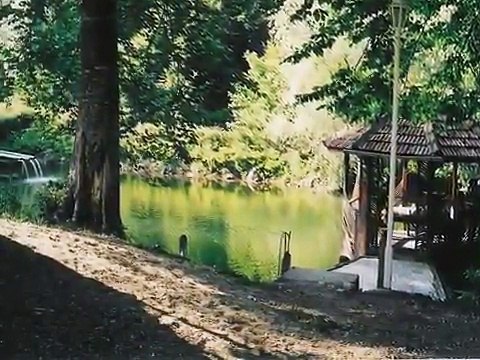 Natural wonder of the green Yenice (Karabük - Yenice)