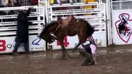 Mud Thrown in Face of Rodeo Horse