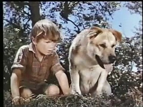 Closing To Mickey Mouse & Donald Duck Cartoon Collections: Volume 2 VHS(1981)