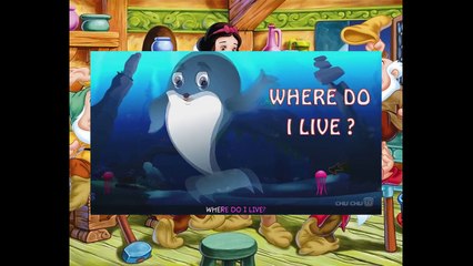 Blue Whale Song    Songs For Children rhymes for children kids songs whale videos for kids online