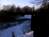 chiens de traîneau fête des neiges Montréal