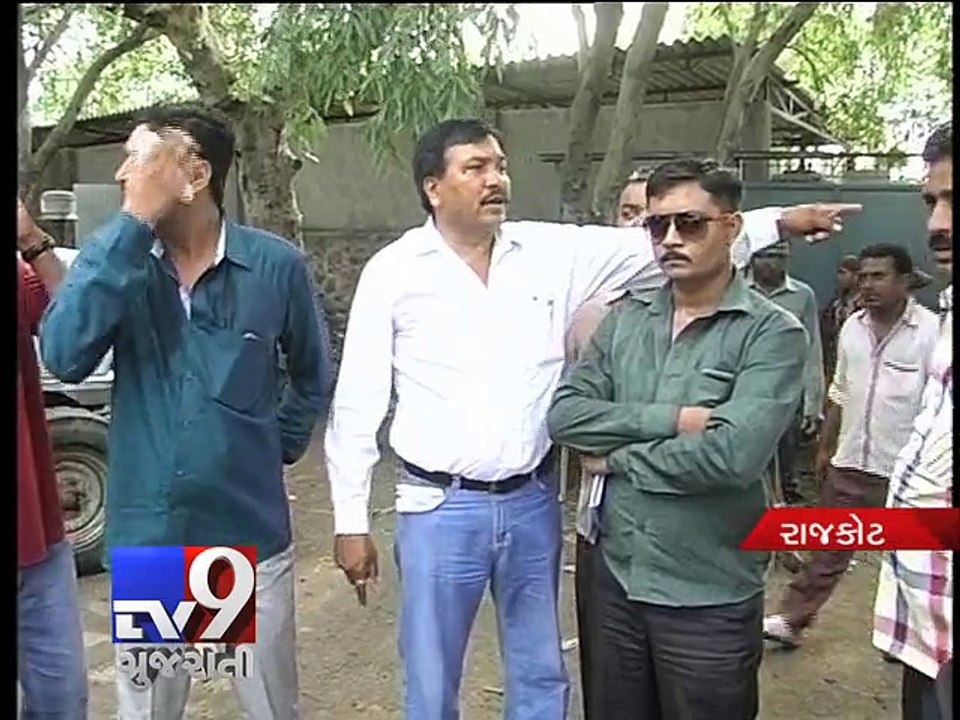 292 rescued stray cattle go missing from hostel, claims Congress - Tv9 Gujarati