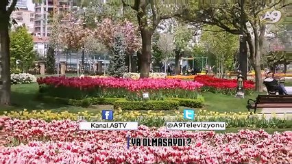 Ya Olmasaydı? 1 - Laleler
