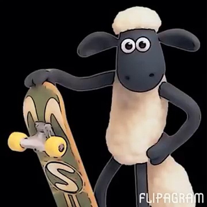 Flipagram - (null)
