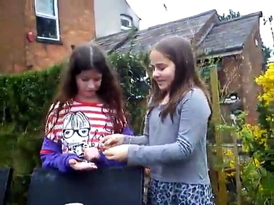 Po coke and mento challenge