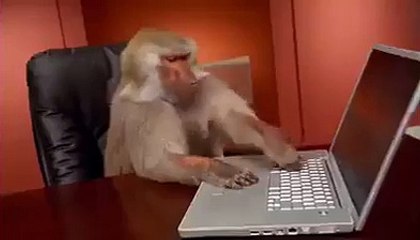 Match into Monkeys Hand