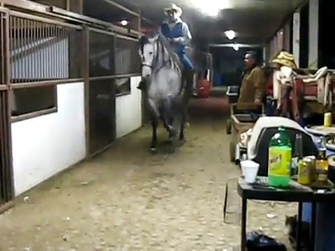 Caballos bailadores Cuadrilla rancho alegre