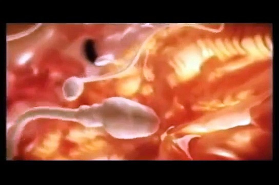 3eme et 4eme mois de grossesse en video Sexe du bébé