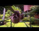 New Animal Planet Meet the Sloths series trailer (2013)